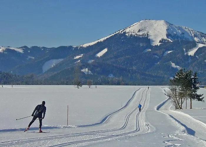 Jufa 玛利亚采尔